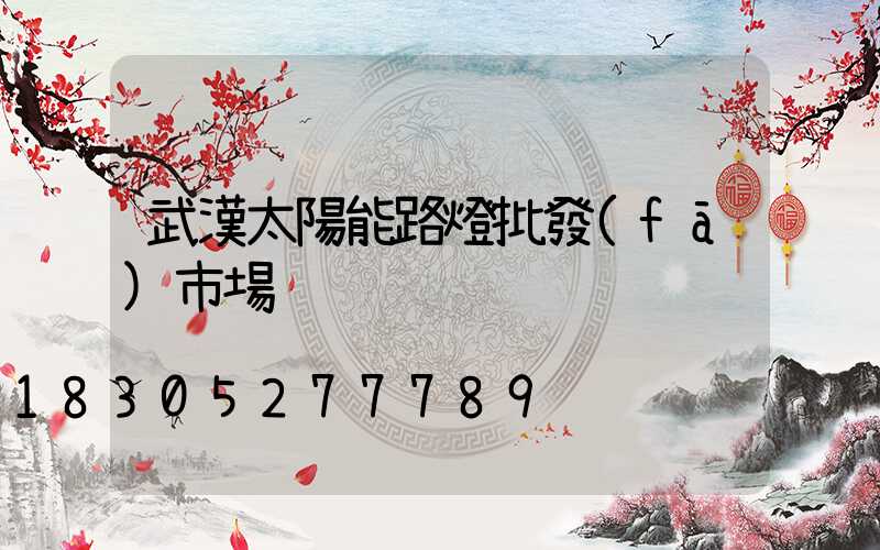 武漢太陽能路燈批發(fā)市場